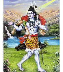 Lord Shiva Sati