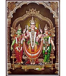 Hindu Goddess Valli