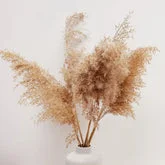 dried leaves art,
