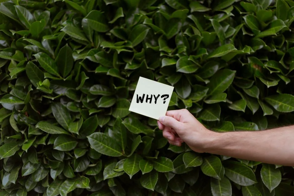 FAQ icon, question