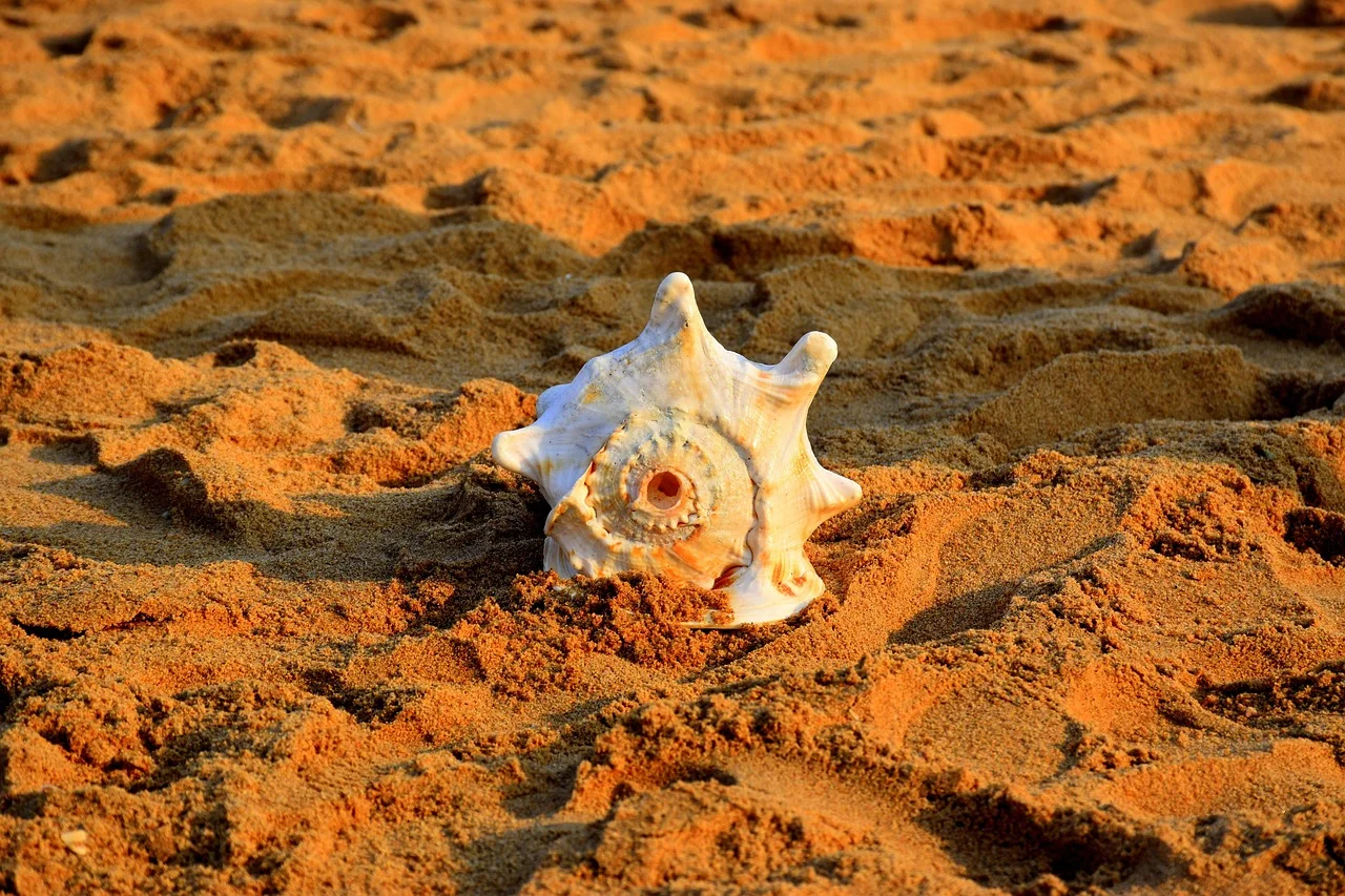 Vishnu Ganesha conch,