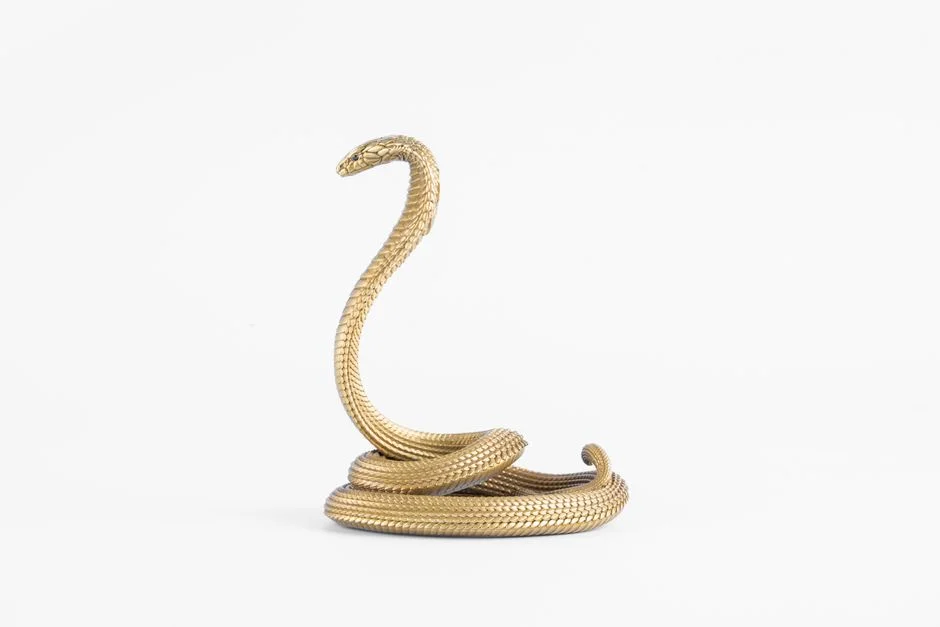 Mahabharata Bhima serpent,
