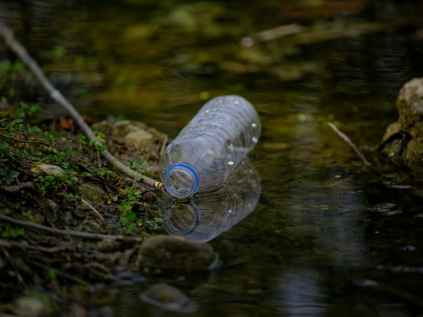 Environmental impact festival,