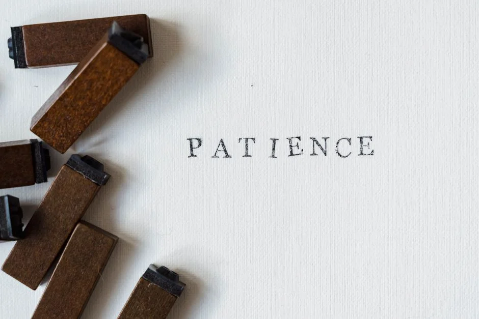 Wisdom patience collaboration,