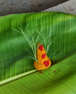 Ganesha Idol, Turmeric