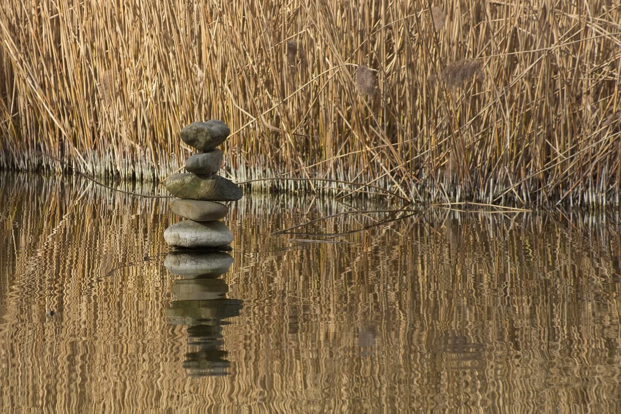 Life balance lessons,