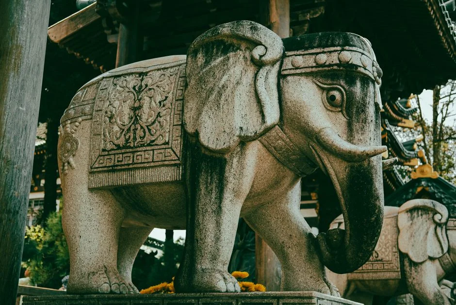 Elephant head symbolism,