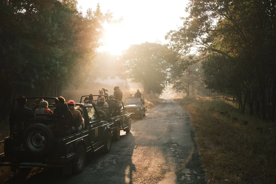Corbett National Park,