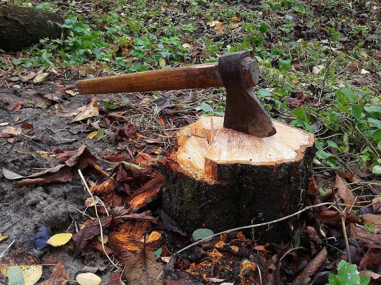 Ganesha axe, Ankusha