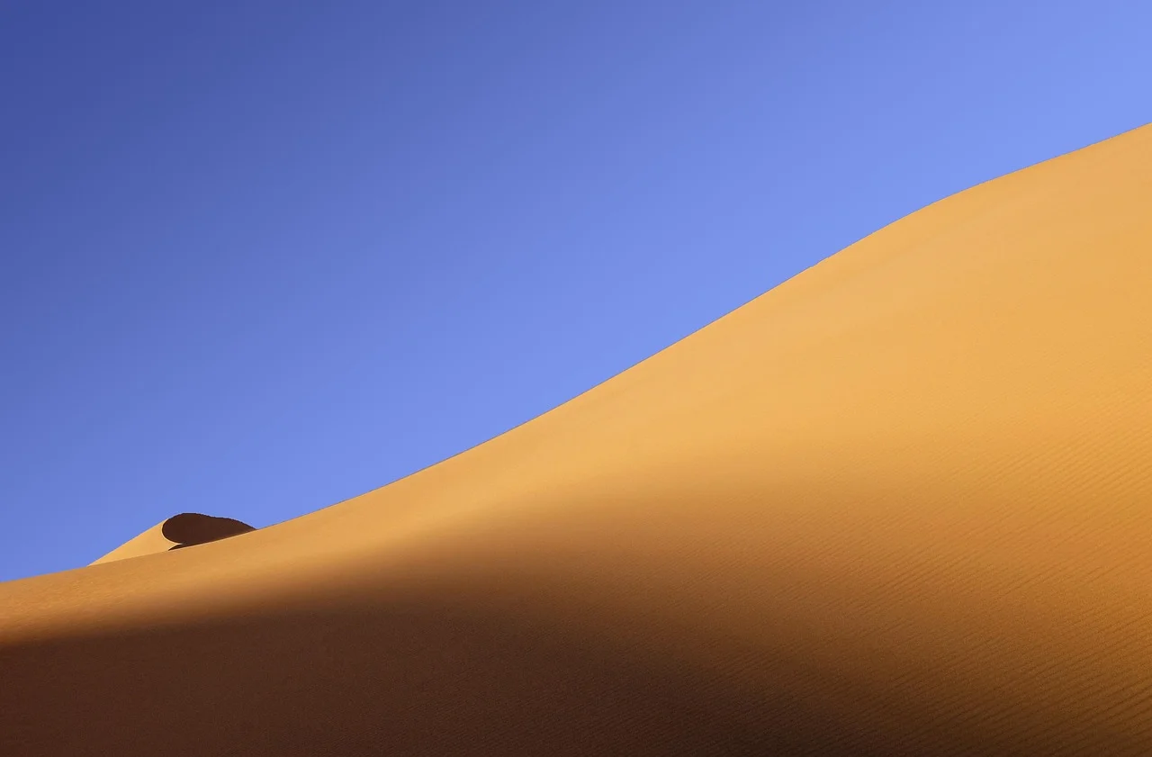 Vast ocean, golden