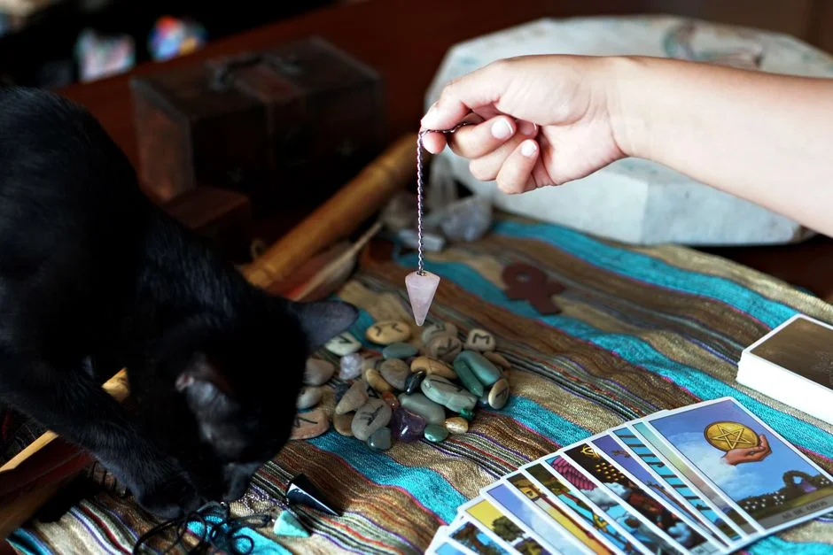 Astrologer tools, Kundali