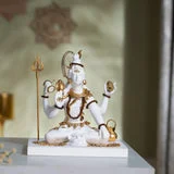 Jwalamukhi Goddess, Shakti